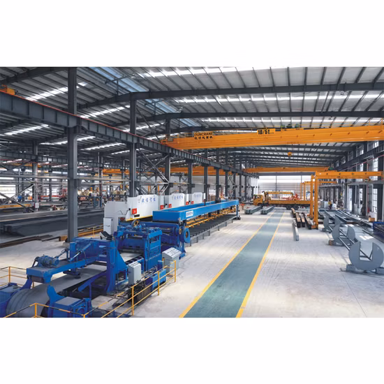 Double Girder Light Crane Systems for Transmission Lines